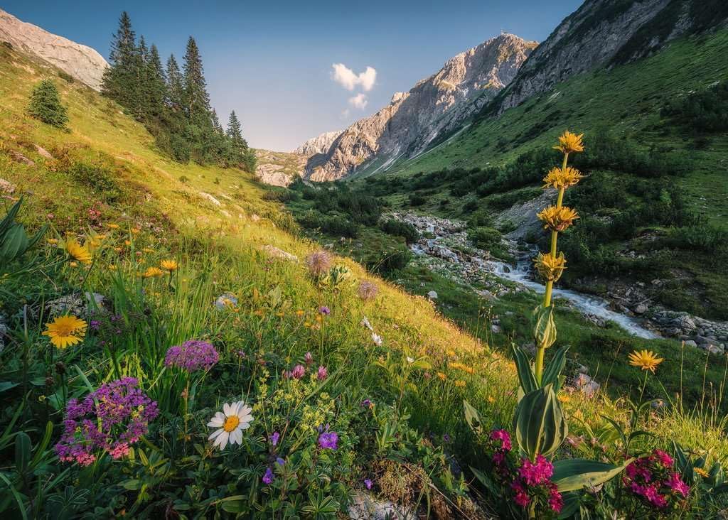 Magical Valley - Image 2